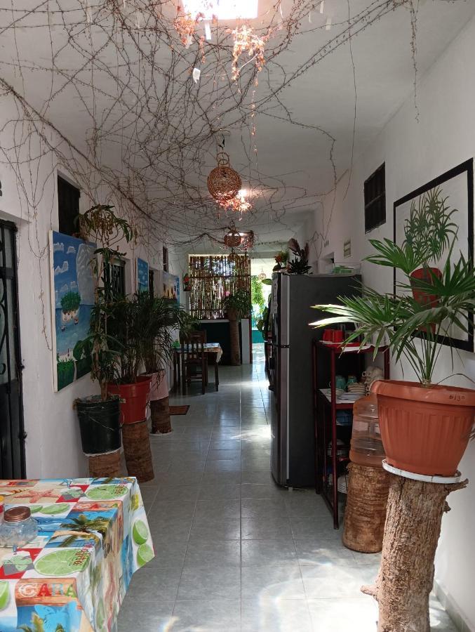 Alojamiento Ya'Ax Nah Playa del Carmen Kültér fotó
